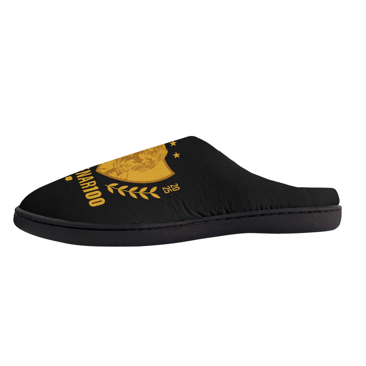 Pantufla Hombre Colo-Colo C3